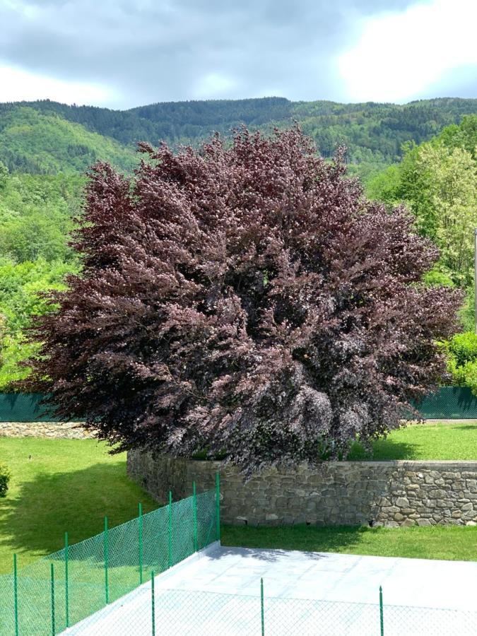 Nidi Del Faggio Rosso - Family Holiday Home Maresca Bagian luar foto